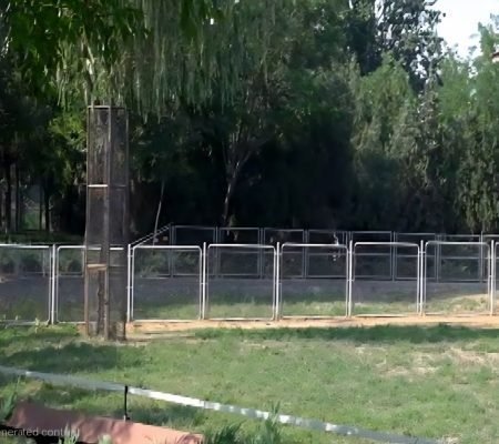 Zoo Fence Structure
