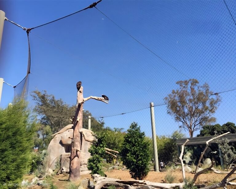 Vulture Fencing