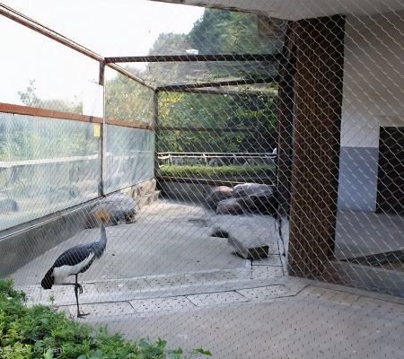 Aviary Mesh, Bird Cage Netting