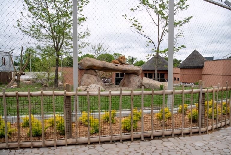 Black Oxide Lion Fence