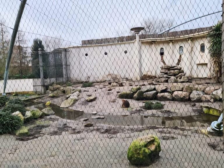 Monkey Cage Covered Mesh