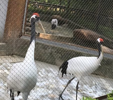 Crane enclosure fence mesh