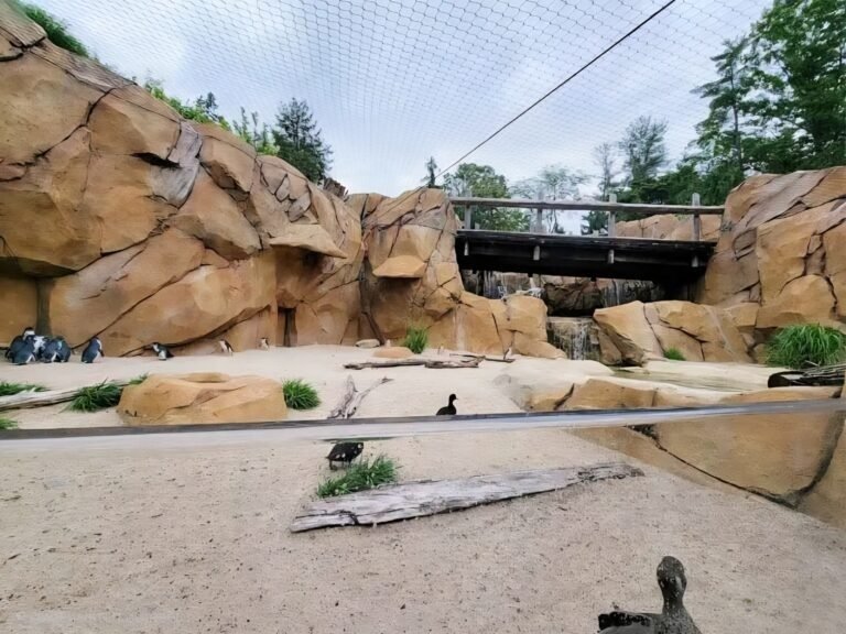 Penguin Exhibit Roof Mesh