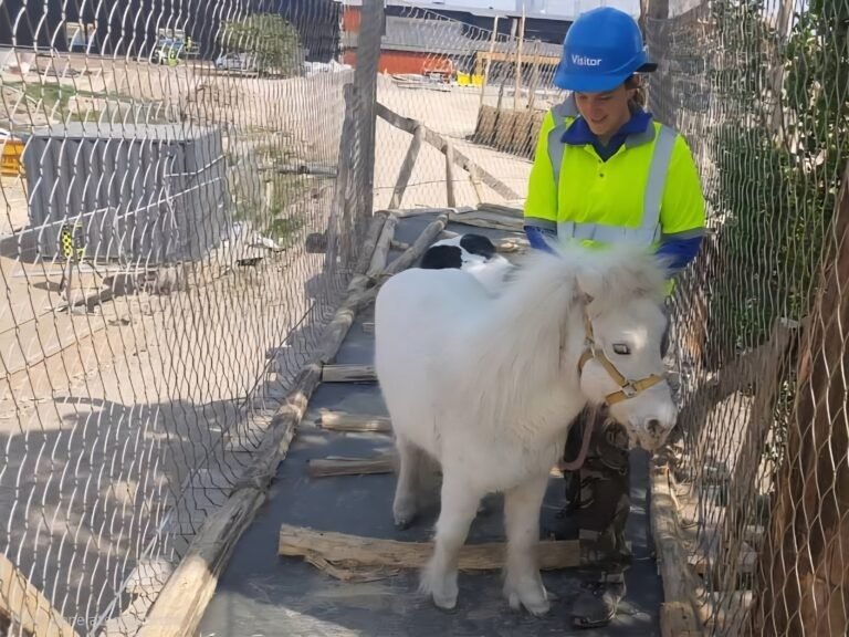 Zoo Animal Trail Fence Mesh
